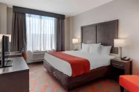 Comfort Inn & Suites near Stadium État de New York