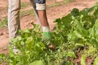 Ferme Sidi Safou & Spa Marrakech-Tensift-Haouz