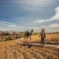 Terre Des Etoiles Marrakech-Tensift-Haouz