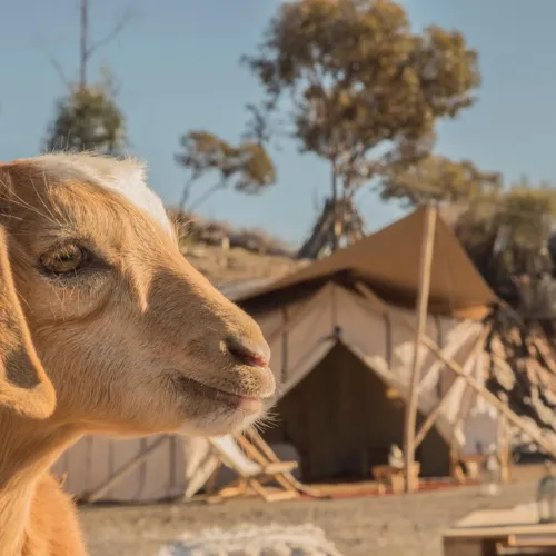 Terre Des Etoiles Marrakech-Tensift-Haouz