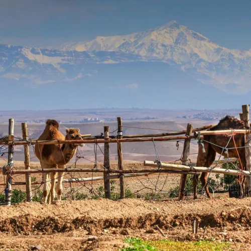 Terre Des Etoiles Marrakech-Tensift-Haouz