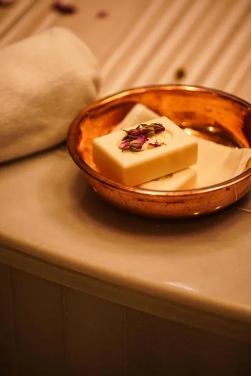 Almira Hotel Thermal Spa & Convention Center Région de Marmara