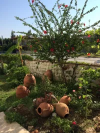 Kilim Hotel & Apart Région égéenne
