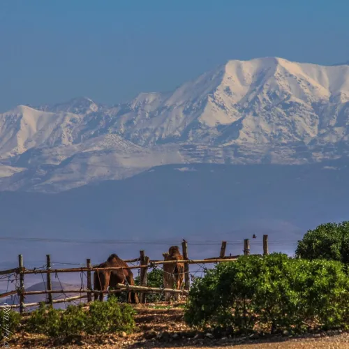 Terre Des Etoiles Marrakech-Tensift-Haouz