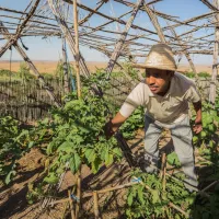 Terre Des Etoiles Marrakech-Tensift-Haouz